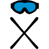 Skier & Skibrille