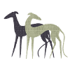 Two greyhounds
