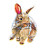 Rabbits