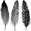 Boho | Feather Style | Illustration