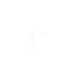 Good Witch Good Witch