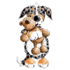Australian Shepherd with Toy