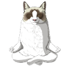 Ragdoll Katze