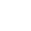 Follower of Christ