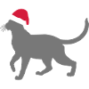Christmas cat