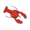 Lobster