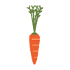 Carrot Carrot