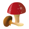 Champignons