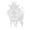 Wild warthog