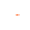 Against the stream