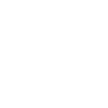 ski