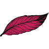 feather