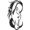Beautiful horse head