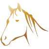 Golden Horse's Head