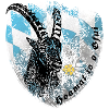 NCD Steinbock