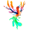 Bird of paradise