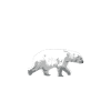Alaska - Polar Bear