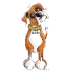 Boxer