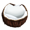 Coconut Coconut Coconut Fruit
