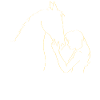 Horse Girl Horse Riding Horse Riding