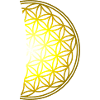 Fleur de vie