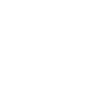 Vice