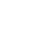 Bodyguard