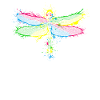 Libellule