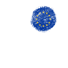Europe