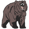 Grizzly - Bear - Bär