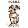 Aussie with teddy