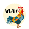 ROOSTER ALL WHAT