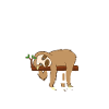 Sloth disant