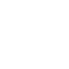 feminist