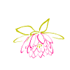 ballet-dance
