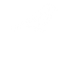 Moineau oiseau nature protection