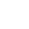 Wild wood deer