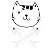 Cat Pirate