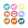 canine