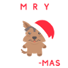 Merry Yorkie Mas