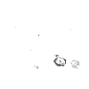 Dutch Wad