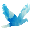 Dove flying