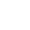 meerschweinchen
