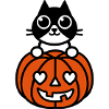 Cat & Pumpkin