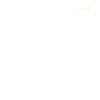Saxophone Saxophone Evolution