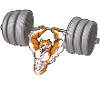 Tiger dumbbell