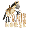 Buckskin Quarter Horse