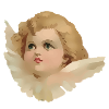 Ange