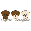 lagotto10 8