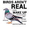 Conspiracy Birds Funny